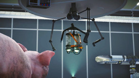 Pig Skater Simulator screenshot 3