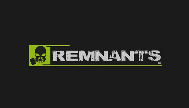Remnants