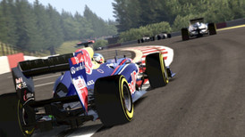 F1 2011 screenshot 5
