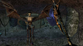 The Elder Scrolls III: Morrowind GOTY screenshot 3