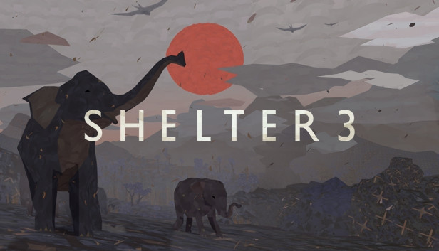 Shelter 3