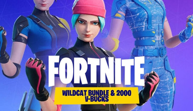 Fortnite: Darkfire Bundle - Nintendo Switch for sale online