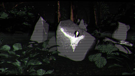 Borneo: A Jungle Nightmare screenshot 2