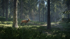 TheHunter: Call of the Wild (Xbox ONE / Xbox Series X|S) screenshot 5