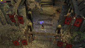 Dungeon Siege II screenshot 4