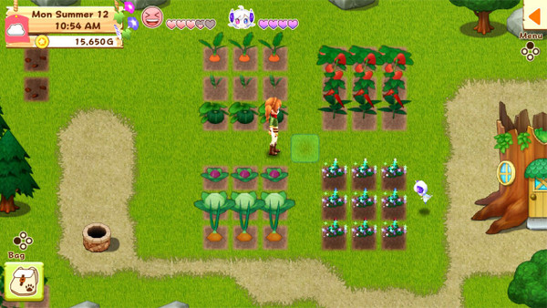 Harvest Moon: Light of Hope Special Edition screenshot 1