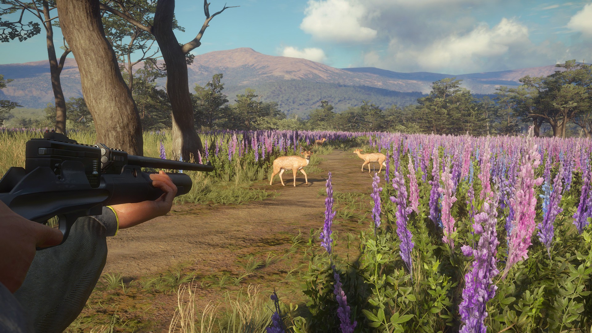Kaufe TheHunter: Call of the Wild Weapon Pack PC (Steam)