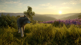 TheHunter: Call of the Wild - Cuatro Colinas Game Reserve screenshot 2