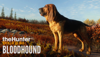 TheHunter: Call of the Wild - Bloodhound - PC (Steam)