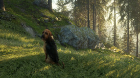 TheHunter: Call of the Wild - Bloodhound screenshot 4