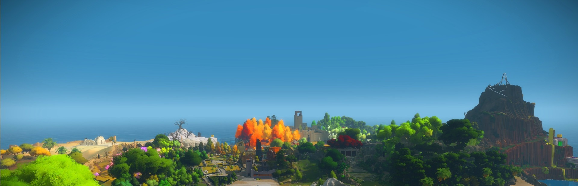 The Witness