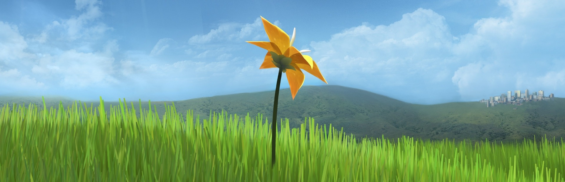 Flower