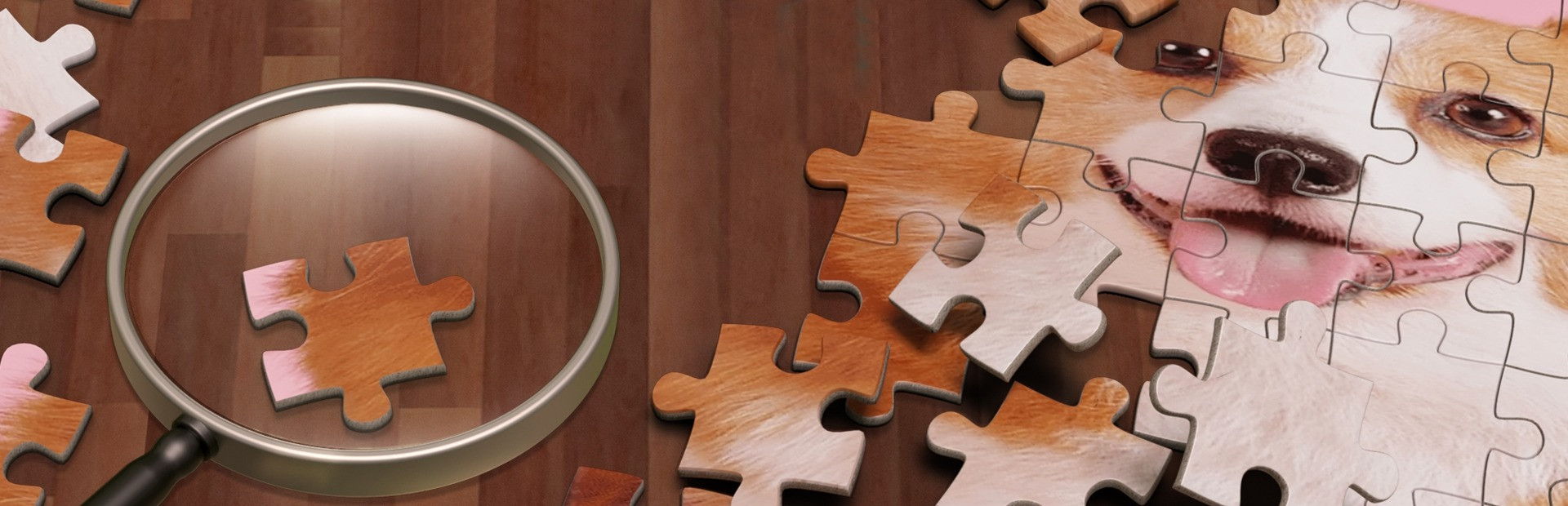 Jigsaw Fun: Piece it Together