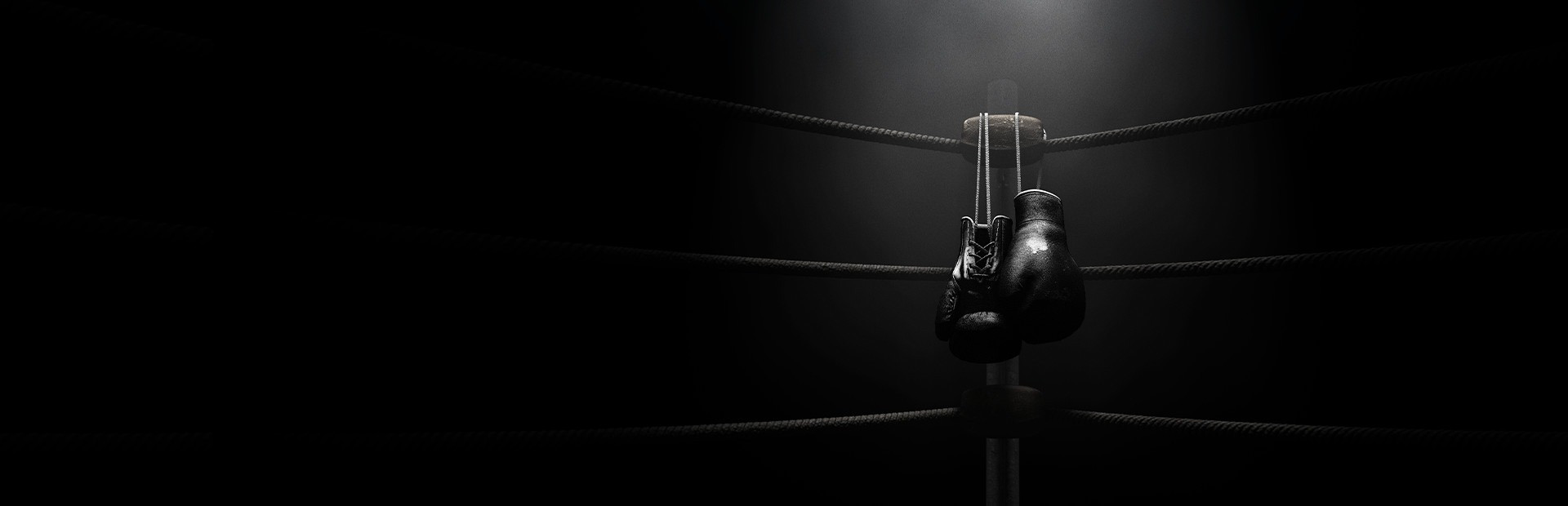 Creed: Rise to Glory