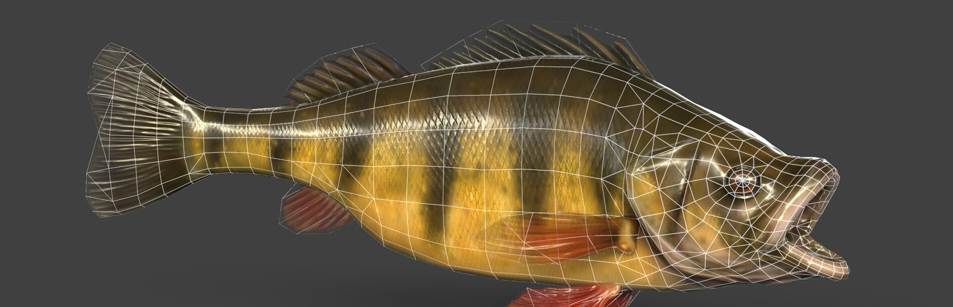 Rapala Fishing Pro Series