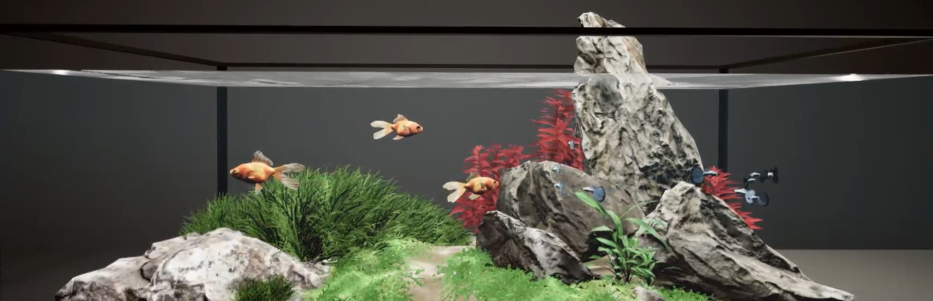 Aquarium Designer
