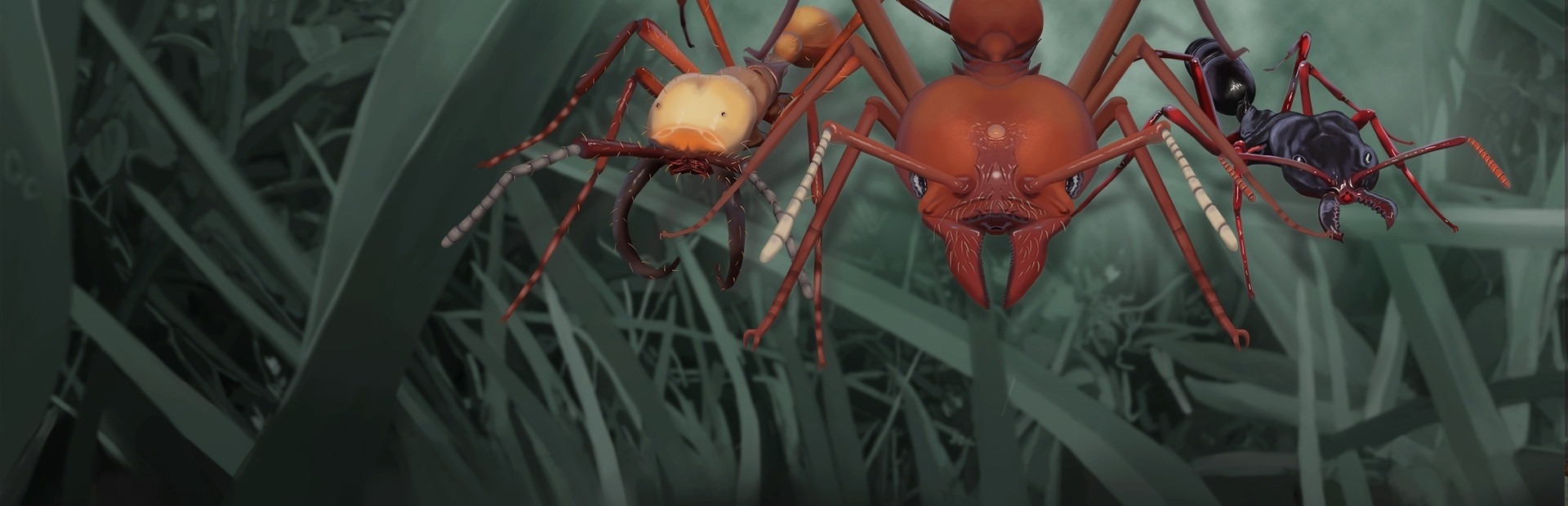 Empires of the Undergrowth