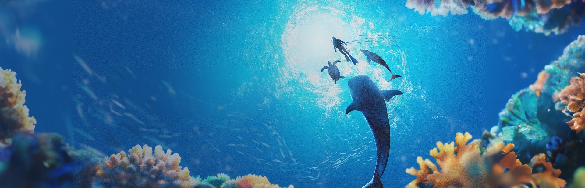Endless Ocean Luminous