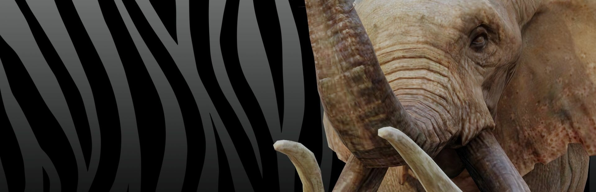 Zoo Simulator