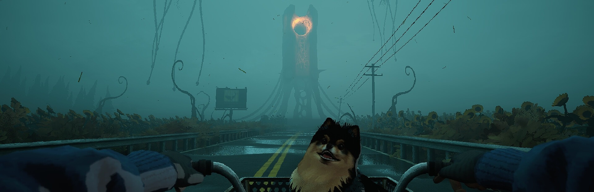 Quite a Ride