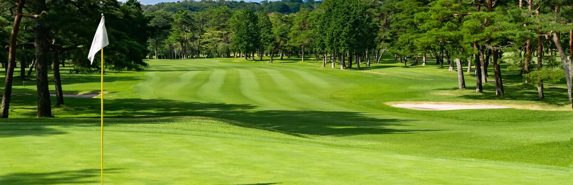 Golden Tee Arcade Classics