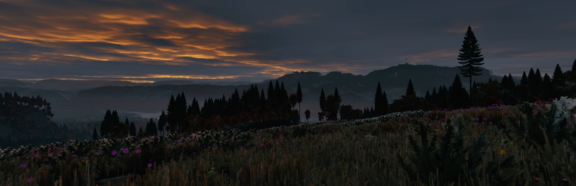 Prologue: Go Wayback!