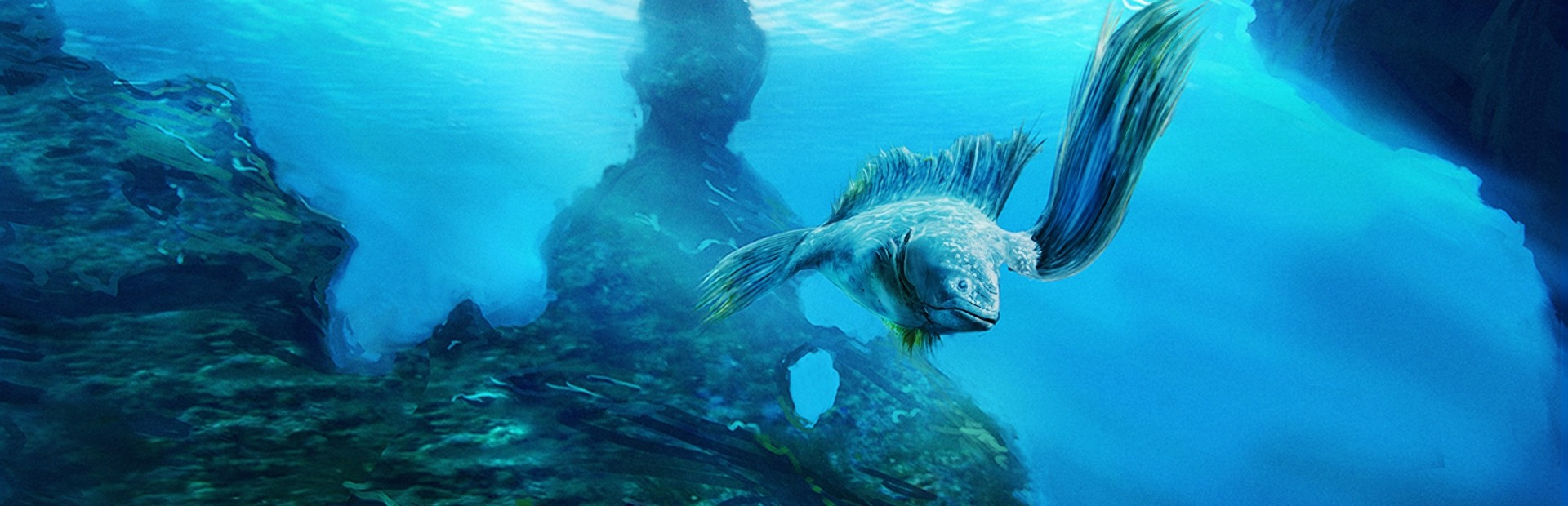 Ecosystem