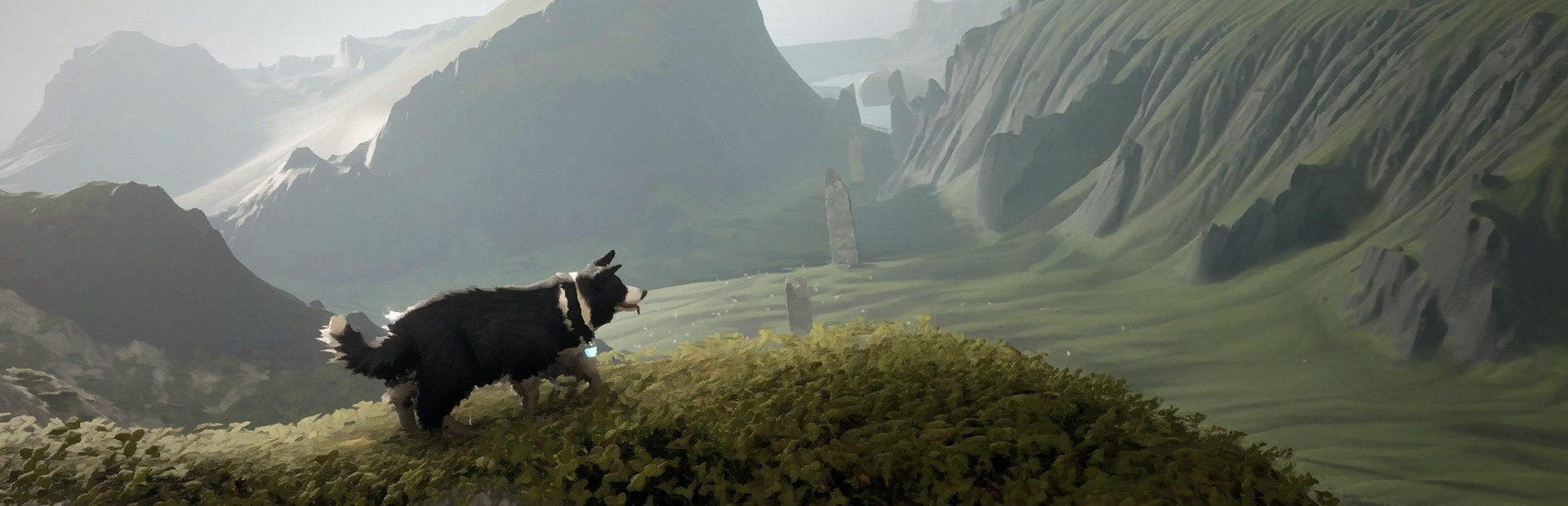 The Free Shepherd