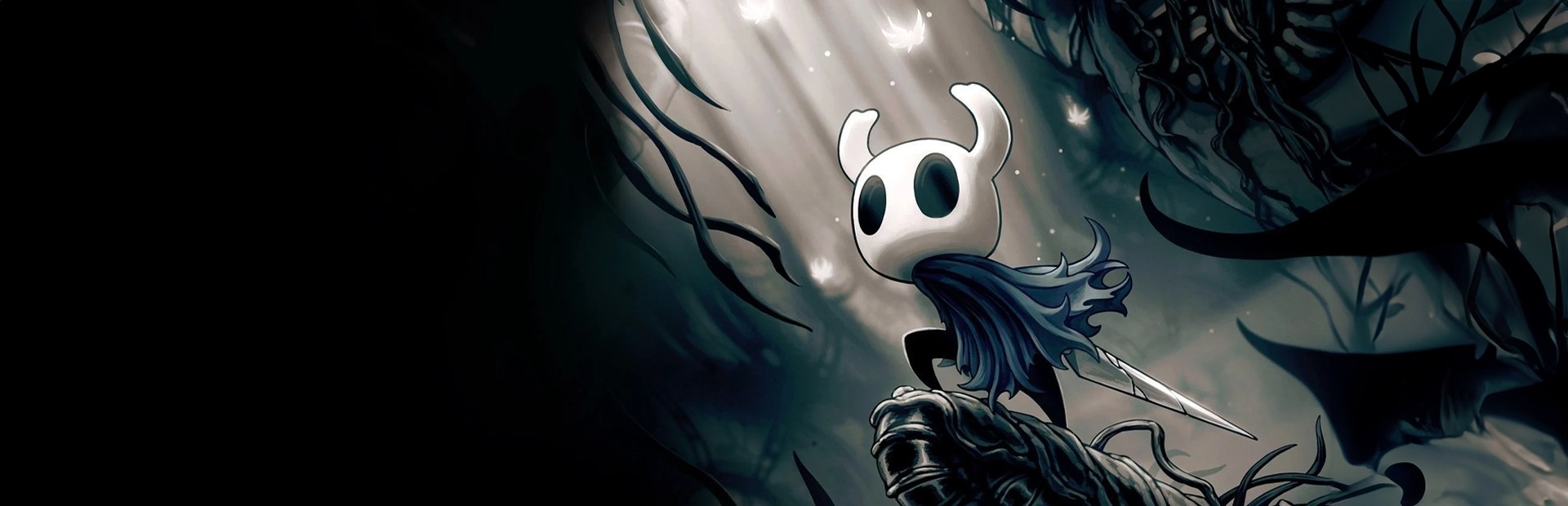 Hollow Knight