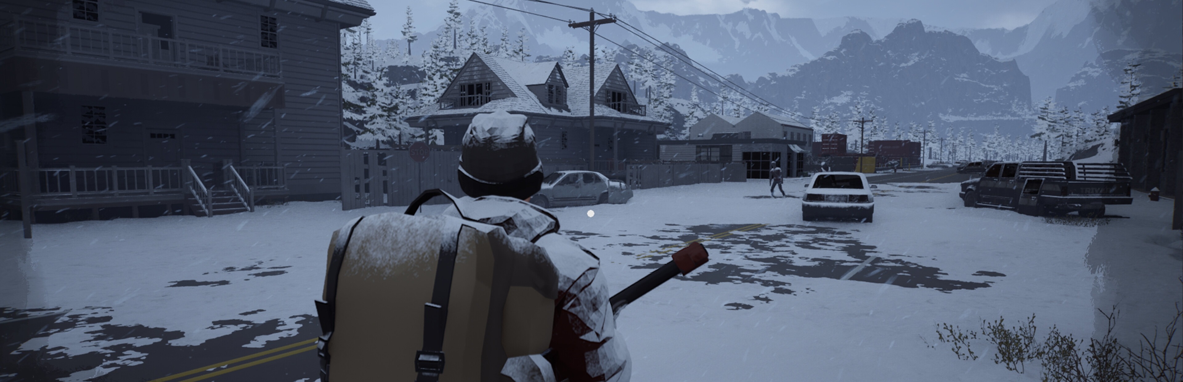 Winter Survivor Protocol