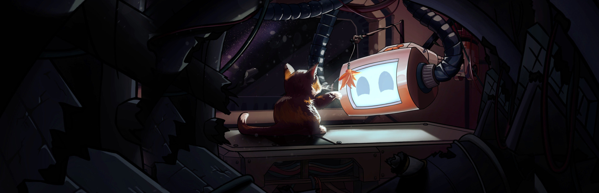 The Last Cat in the Universe