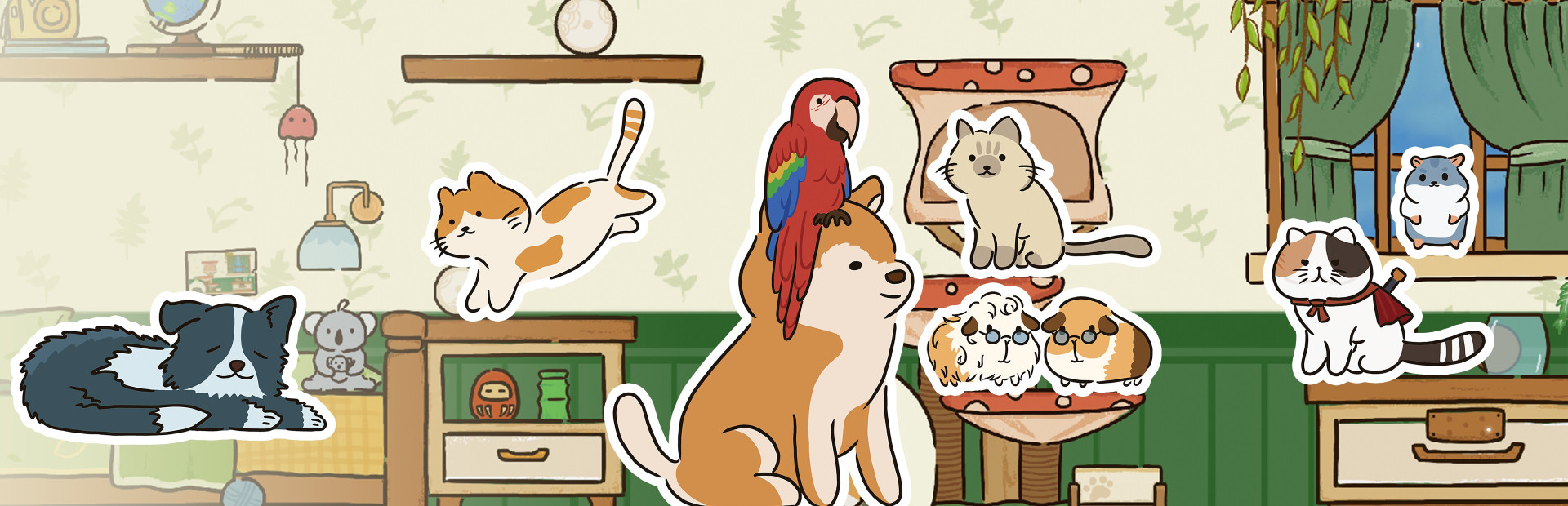 Cat at Home