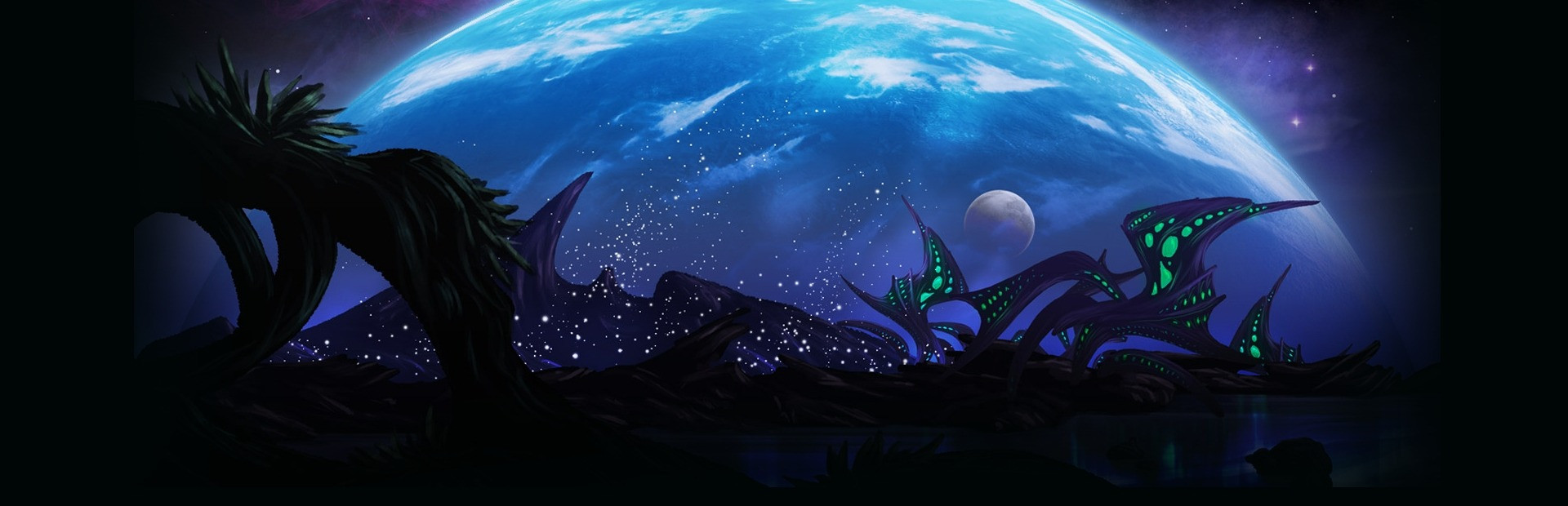 The Last Federation