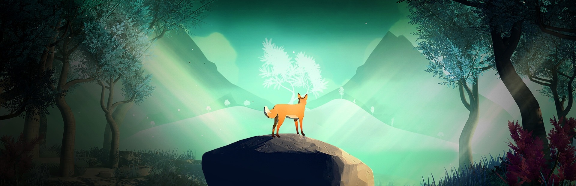 Reviews The First Tree