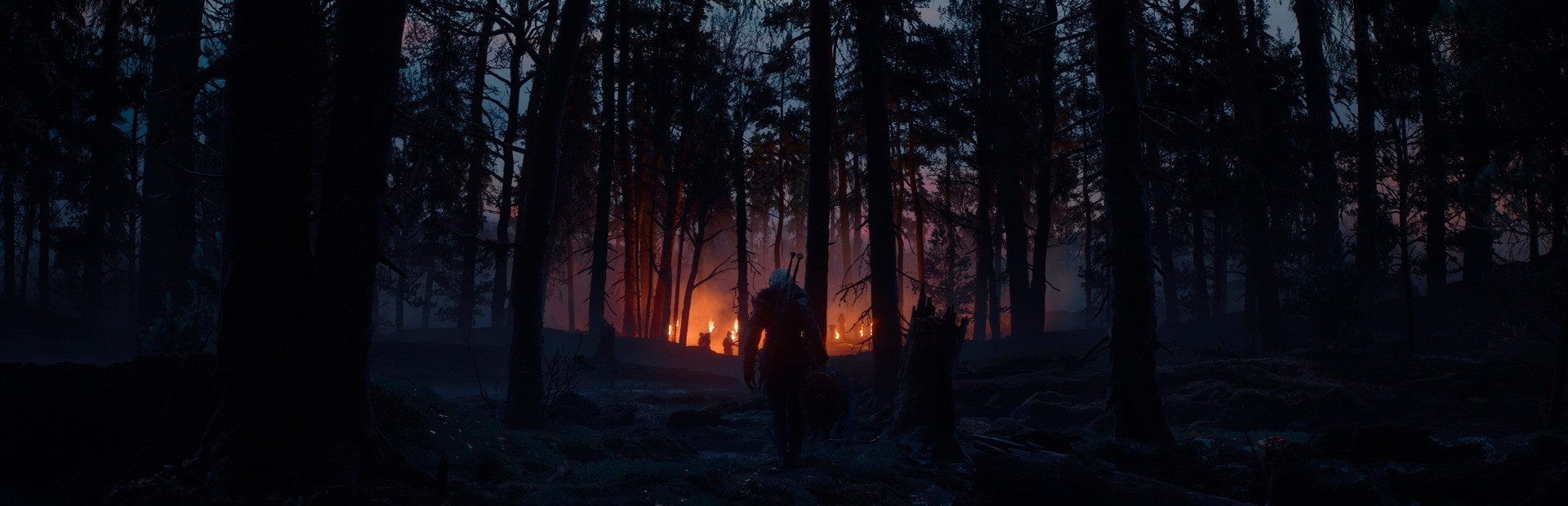 The Witcher 4
