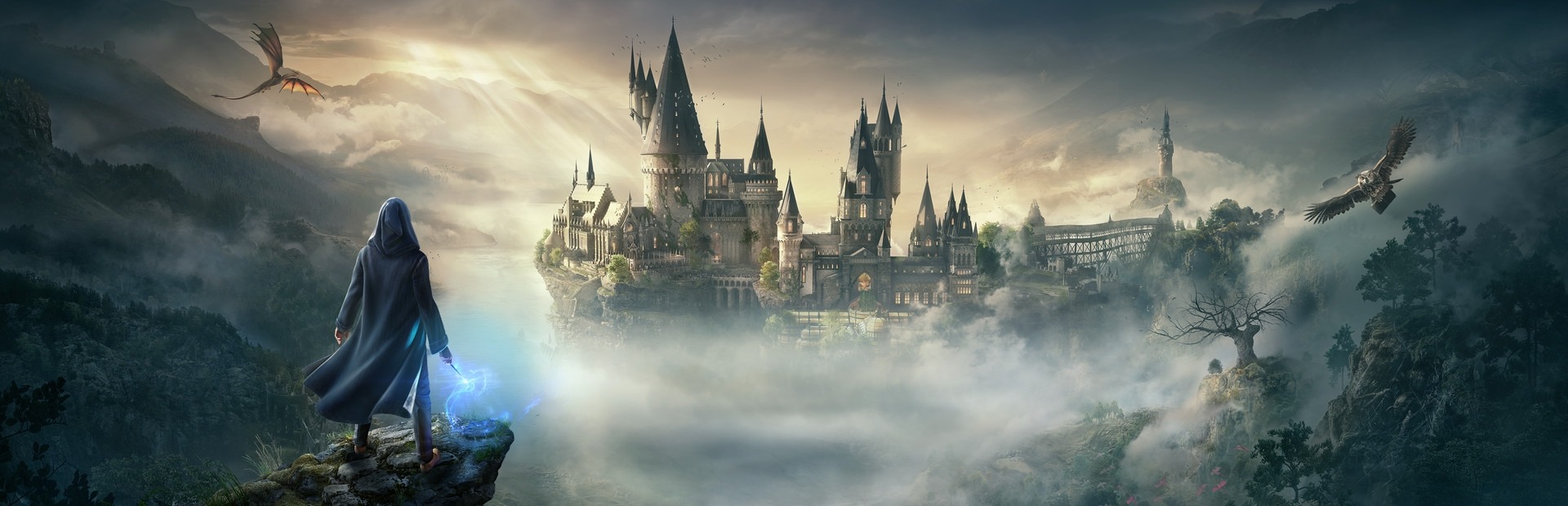 hogwarts legacy preço steam