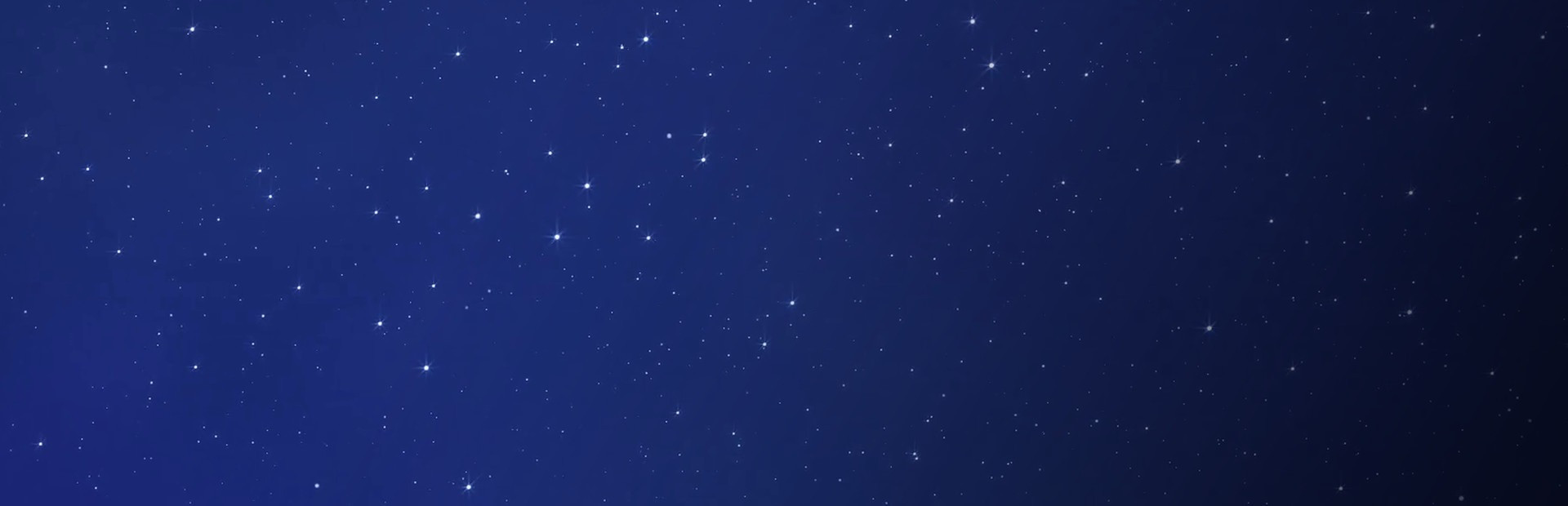 Space Cows