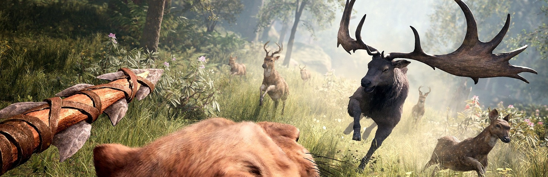 Far Cry 7