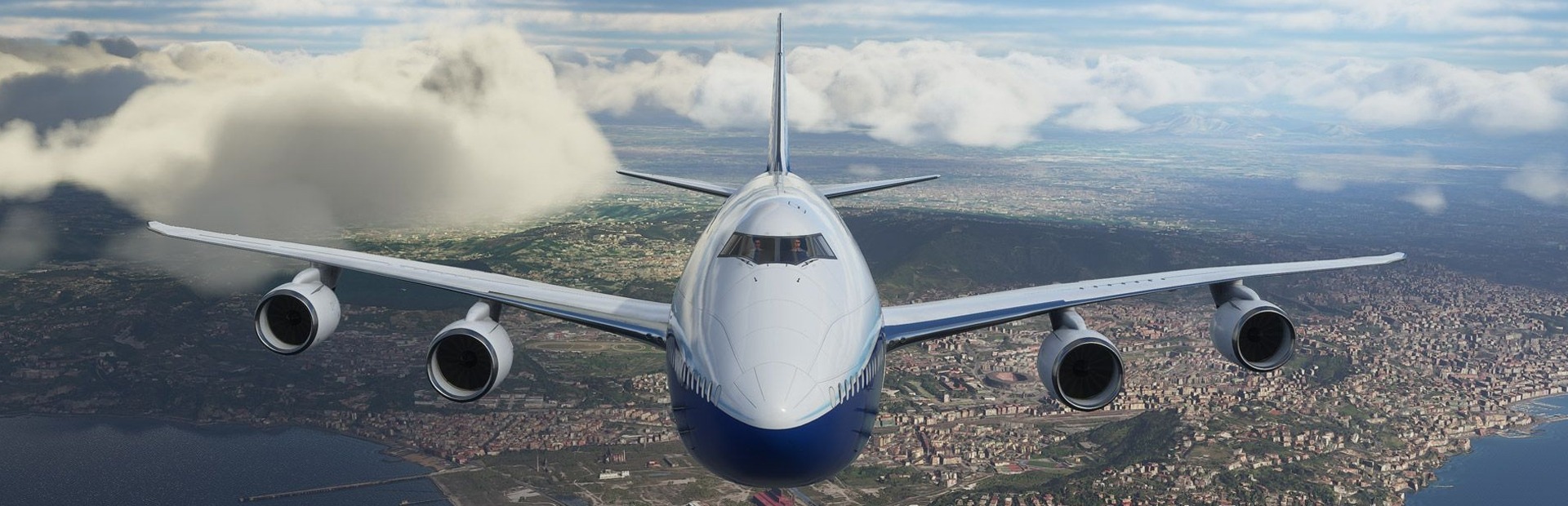 Microsoft Flight Simulator