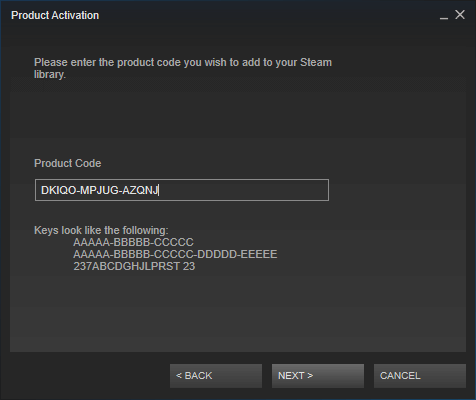 A small window will then appear, you'll have to enter the code you purchased on Instant-Gaming